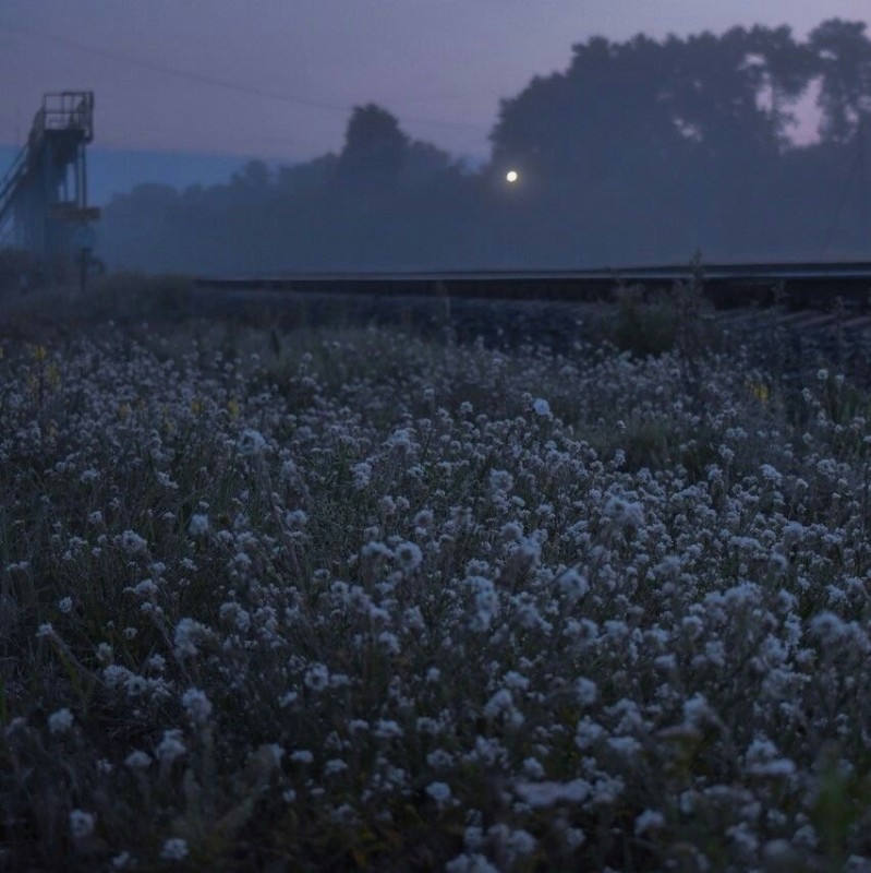 Create meme: meadow fog, beautiful evening landscape, evening landscapes