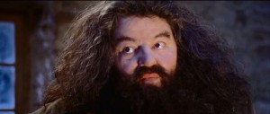 Create meme: Rubeus Hagrid sorcerers stone, Hagrid evil, Robbie Coltrane is Hagrid