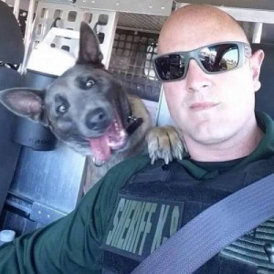 Create meme: k 9, police dog, Movement