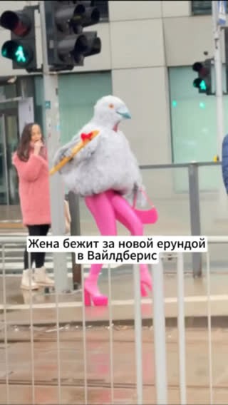 Create meme: amateur, feet , A huge pigeon