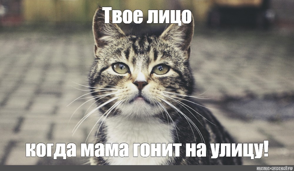 Meme: Твое лицо когда мама гонит на улицу! - All Templates - Meme