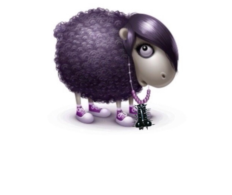 Create meme: Shelly the sheep, sheep , lamb 