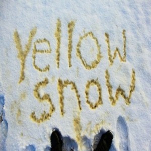 Create meme: yellow, the inscription in the urine in the snow, snow