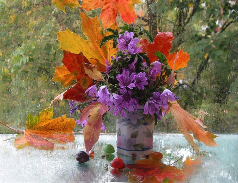 Create meme: autumn bouquet, autumn flowers, beautiful autumn bouquet