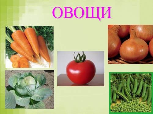 Create meme: presentation of vegetables for preschoolers, vegetables for presentation, vegetables 