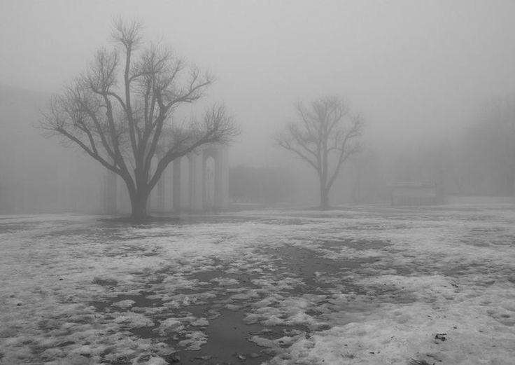 Create meme: grey autumn, white landscape, fog 