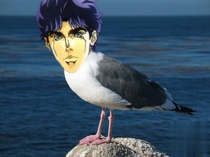 Create meme: birds, Seagull bird, Seagull