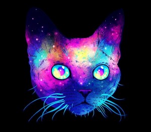 Create meme: cat neon, space cats images, cat in space art
