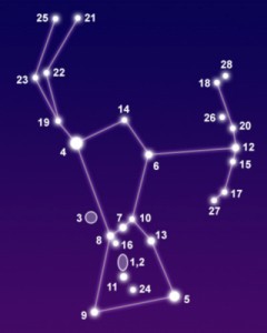 Create meme: the constellation of Orion, constellation, VVV
