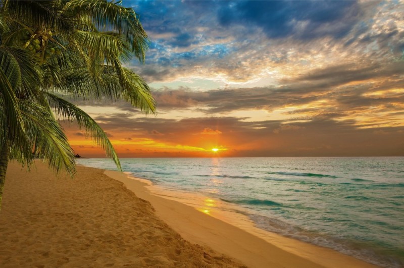 Create meme: sea palm trees sunset, beach , sea beach 