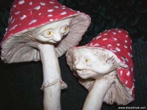 Create meme: hallucinogenic mushrooms, freaky mushrooms, Mushrooms