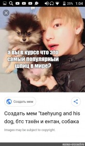 Sozdat Mem Prikolnye Foto Entana Sobaki Kim Tehena Taehyung Entan Sobaka Tehena Kartinki Meme Arsenal Com