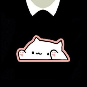 bongo cat in a bag roblox t shirt