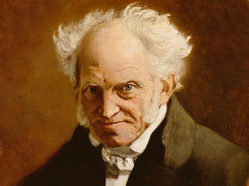 Create meme: Arthur Schopenhauer, schopenhauer basic ideas, schopenhauer philosophy