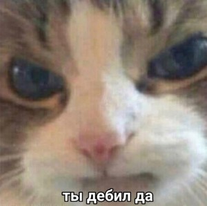 Create meme: cry cat, cats, cat