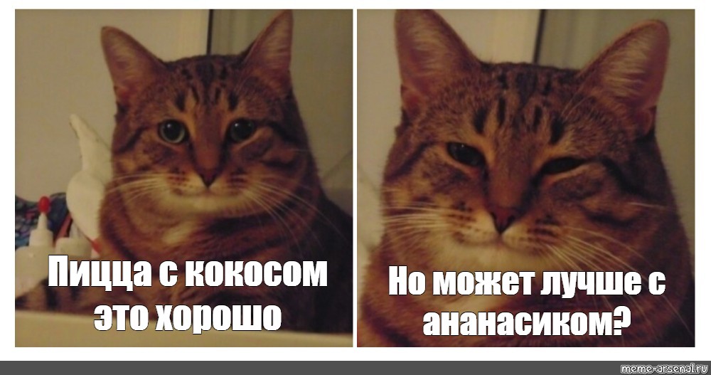 Картинка кота мем