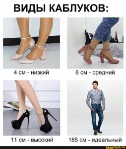 Создать мем: обувь, низкий каблук, женская обувь