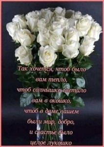 Создать мем: открытки с днём рождения красивые розы, красивые розы с днем рождения, букет