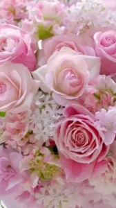 Create meme: flowers pink roses, the flowers are beautiful, pink roses