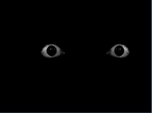 Create meme: eyes, darkness