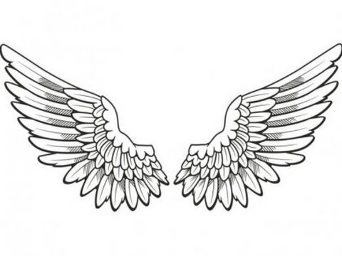 Create meme: sketch wings, wings tattoo sketch, Angel wings drawing