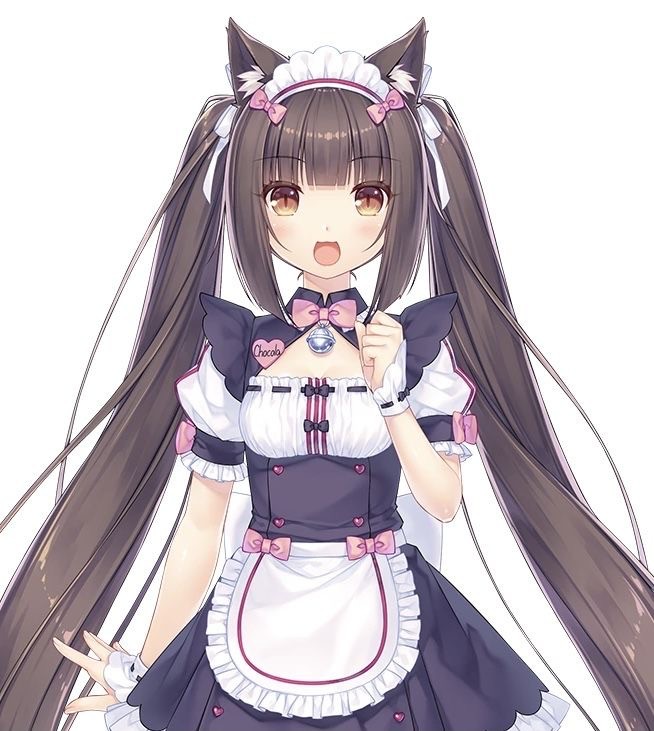 Создать мем: nekopara chocola, чокола и ванилла, аниме некопара