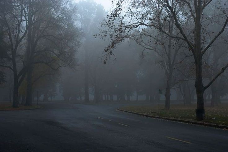Create meme: nature , fog in autumn, thick fog 