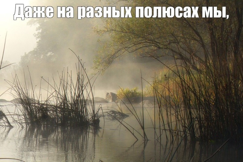 Создать мем: художник александр игнатьев, утро туман, живописные пейзажи