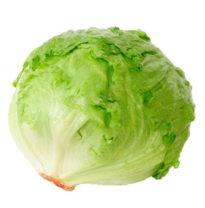 Create meme: iceberg lettuce 1kg, iceberg lettuce, iceberg fresh salad
