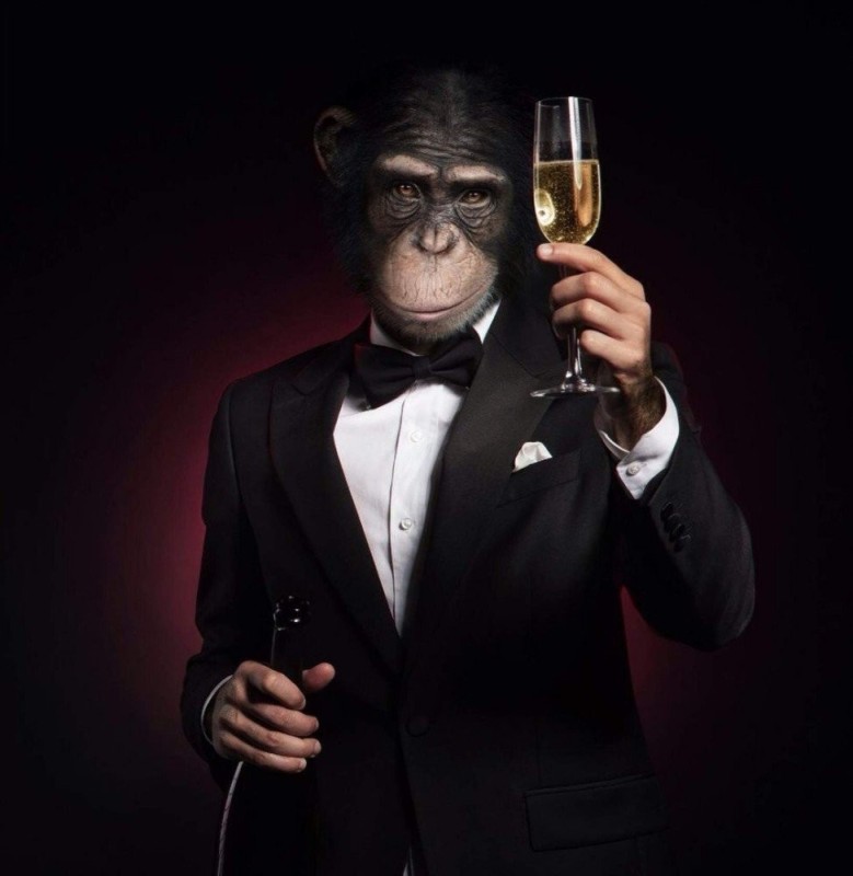 Создать мем: обезьяна в костюме, обезьяна в смокинге, шимпанзе в костюме с бокалом