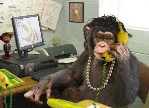 Create meme: monkey behind a computer, monkey, monkey in the office
