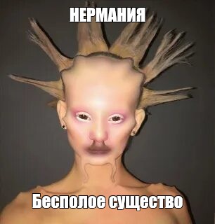 Создать мем: null