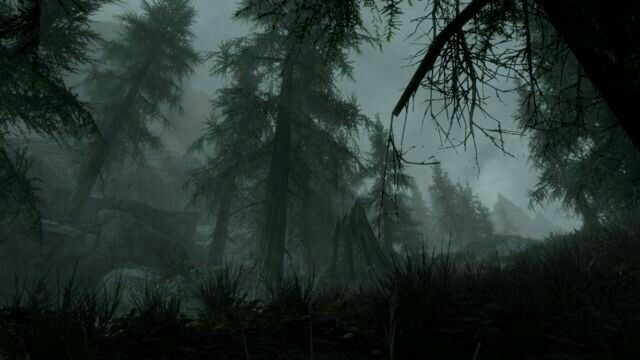 Create meme: skyrim forest, forest misty, the elder scrolls v: skyrim