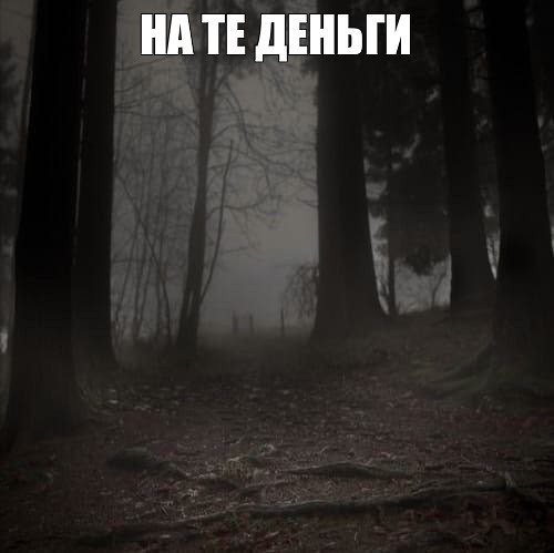 Create meme: The dark forest the woods 2005, The Book of Secrets, gloomy paradise