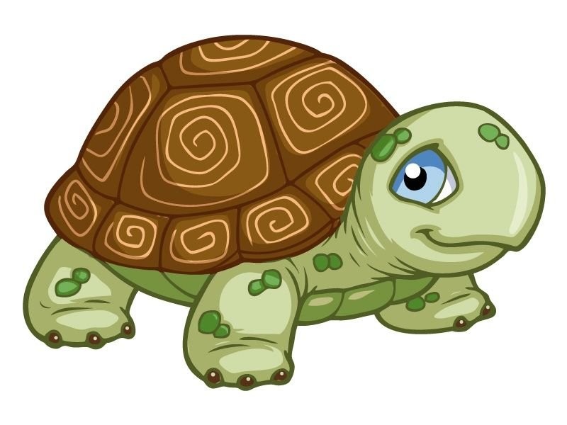 Create meme: cartoon turtle, a turtle on a transparent background, turtle drawing for children