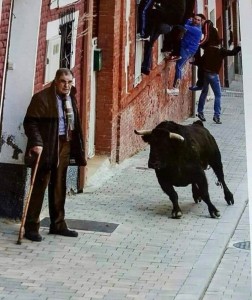 Создать мем: бык, фото фестиваль toro de cuerda бык протыкает, the bull