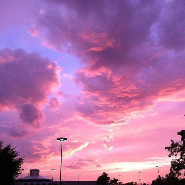 Create meme: the sky is pink, beautiful pink sunset, pink sunset 