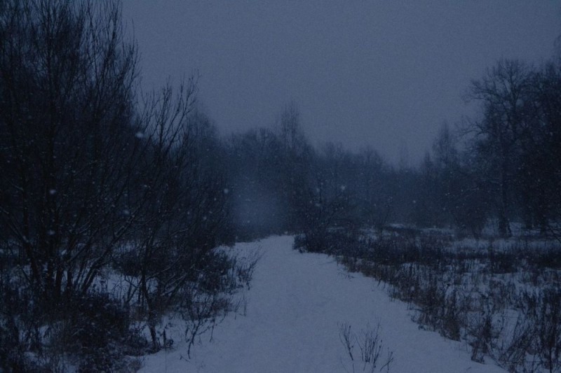 Create meme: dark winter, the landscape is gloomy, A foggy dark winter day