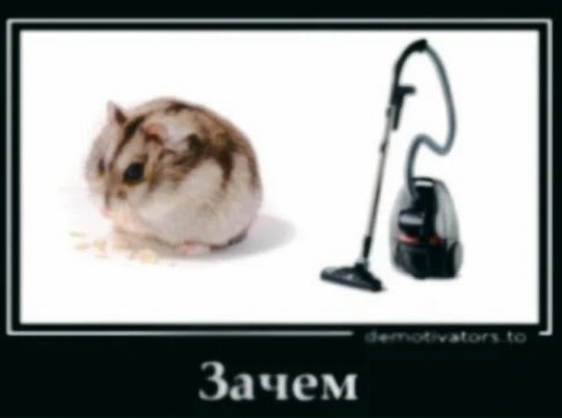 Create meme: Djungarian hamster, hamster vacuum cleaner why, hamster 