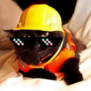 Create meme: cat Builder, cat in a helmet
