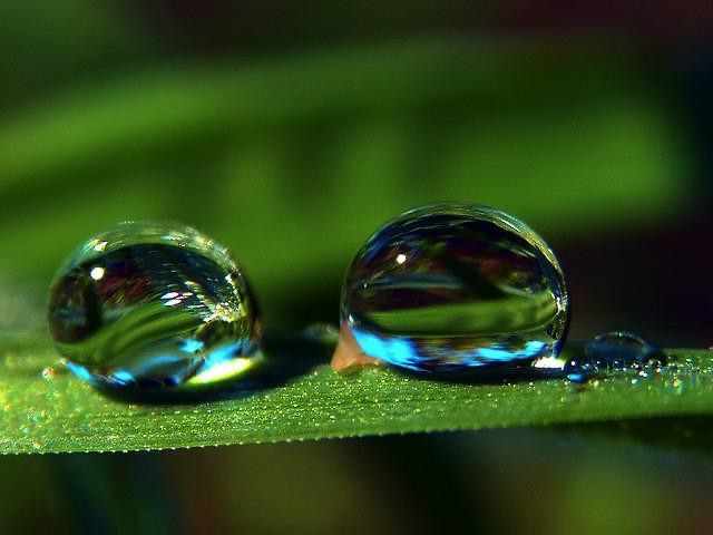 Create meme: macro water drops, a dewdrop, a drop of water