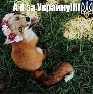 Создать мем: happy fox, домашняя лиса, лис и хомяк