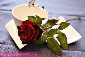 Создать мем: доброе утро розы, Цветы, утро кофе розы романтика