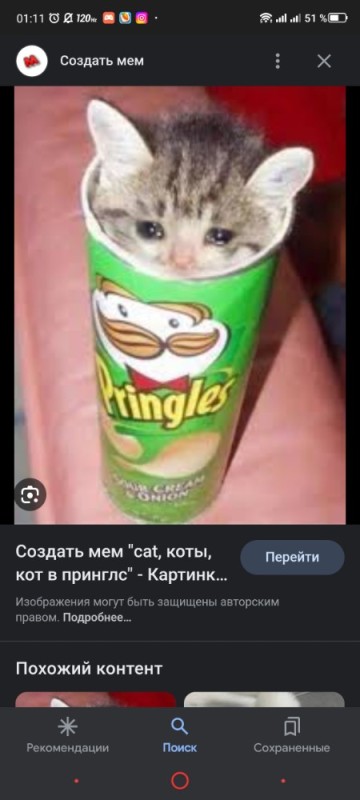 Создать мем: кот чипсики, cat pringles, кот с чипсами