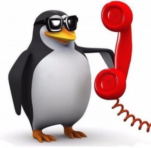Create meme: penguin meme, penguin with phone meme, penguin calling by phone