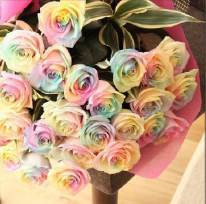 Create meme: rainbow roses, multi colored roses