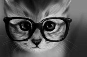 Create meme: cat with black glasses