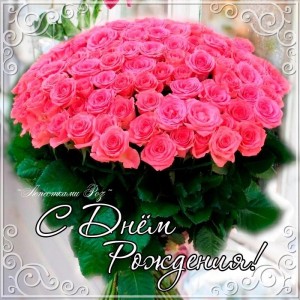 Create meme: a bouquet of roses, postcard, bouquet of pink roses