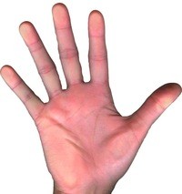 Create meme: left hand palm, the hand has five fingers, the right hand picture