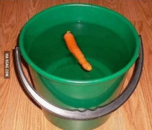 Create meme: carrots, pictures will give the snowman BU, Dishes